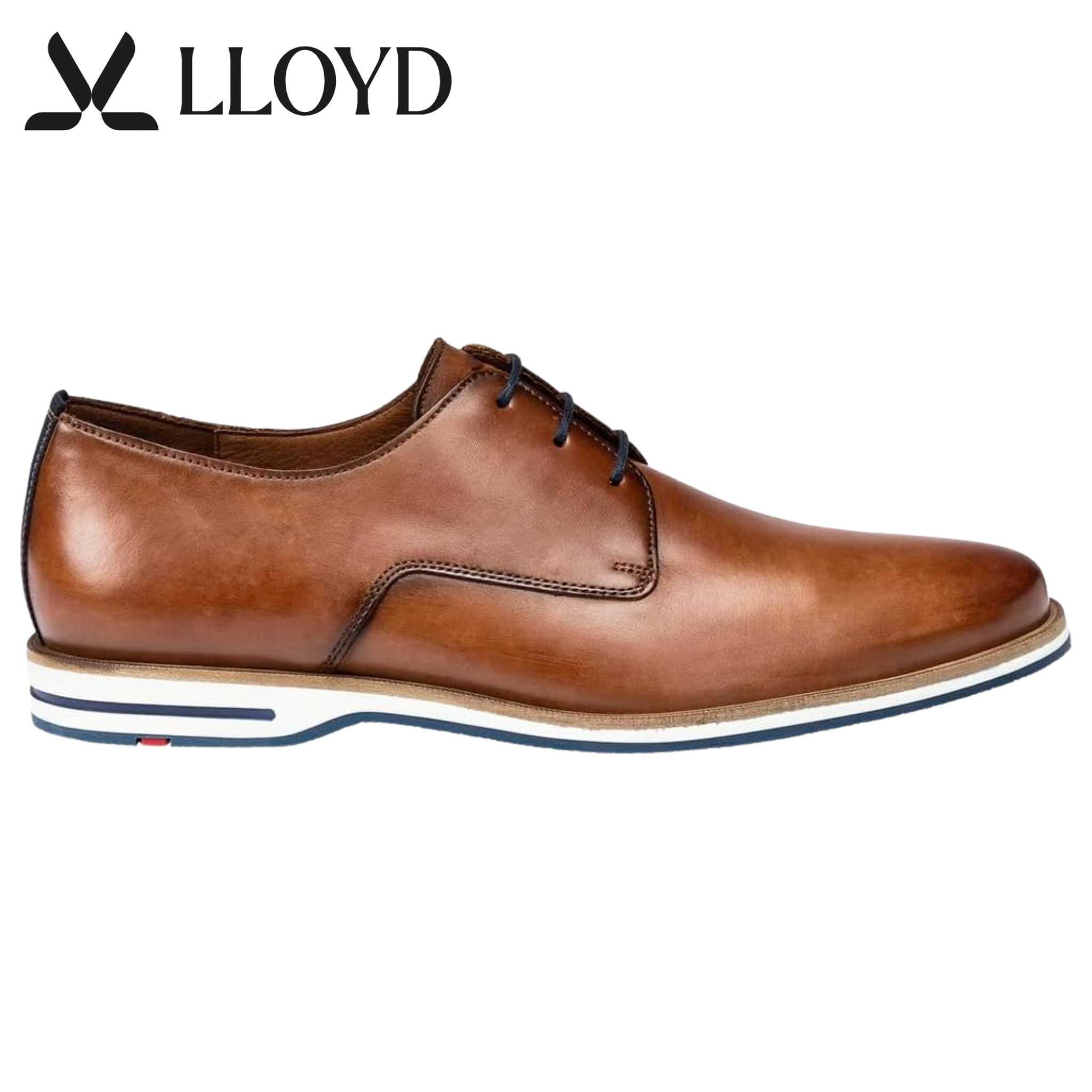 Lloyd Dakin Hazel Shoes Brown
