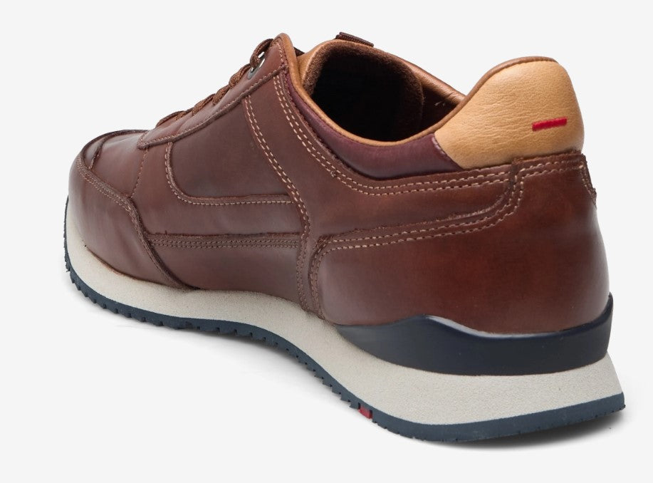 Lloyd Editta Brown Laced Shoes Brown